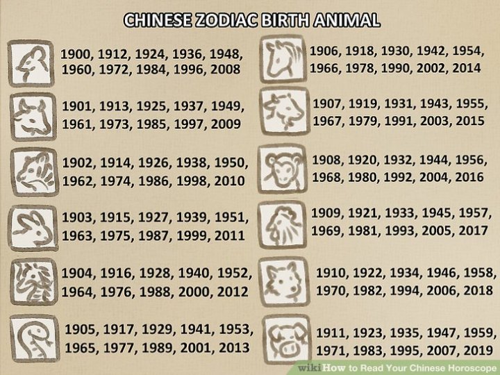 What’s Your Sign? Chinese Zodiac